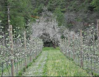 Urola Turismoak prest du irteera gidatuen aurtengo egitaraua
