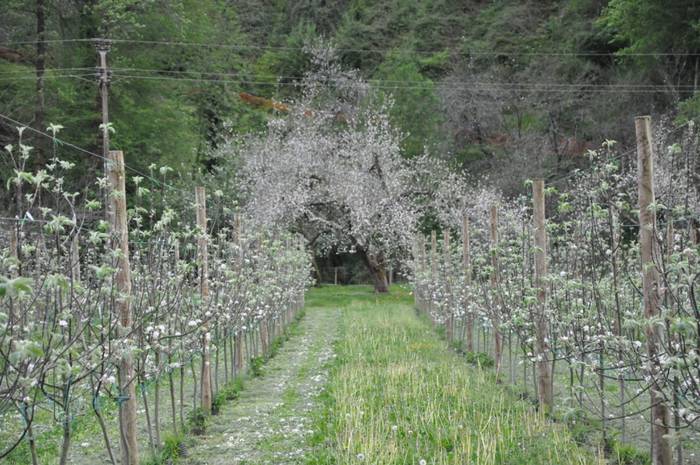 Urola Turismoak prest du irteera gidatuen aurtengo egitaraua