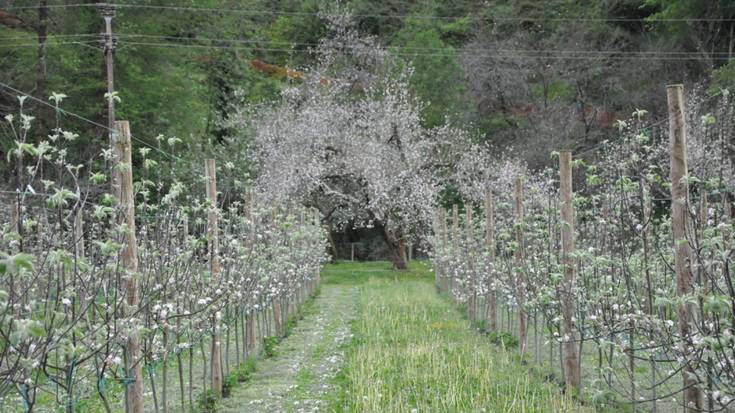 Urola Turismoak prest du irteera gidatuen aurtengo egitaraua