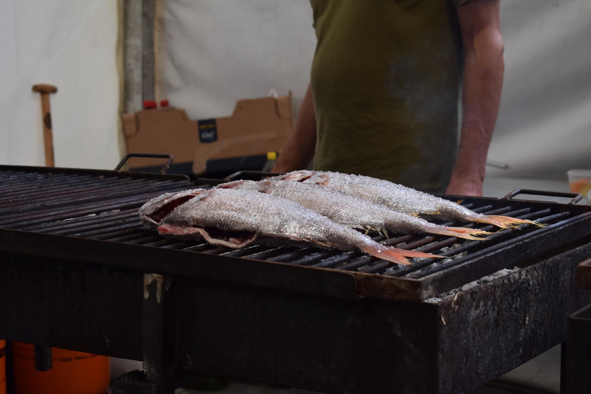 Orioko EAJ: "Parrilla Festak ezin du eta ez du ordezkatuko Bisigu Eguna"
