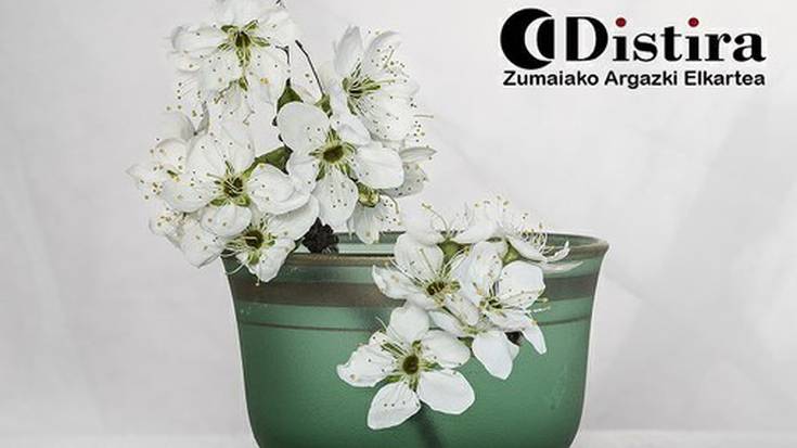 'Hildako natura' argazkigintza tailerra antolatu du Distirak