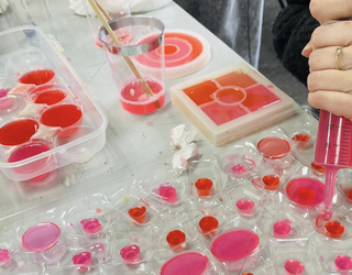 Biomaterialekin arropak egiten ikasteko saioa antolatu dute iganderako