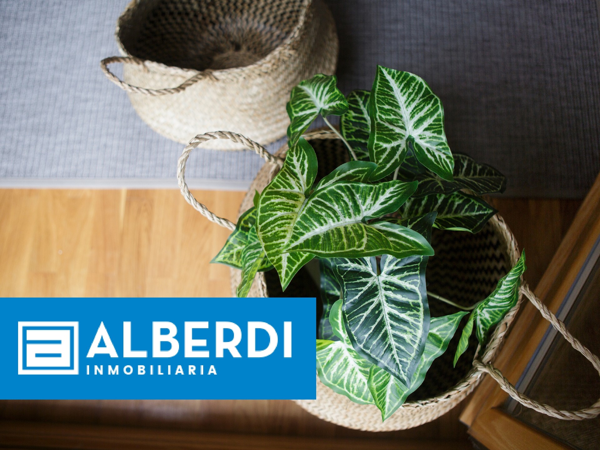 Alberdi Inmobiliaria: Ezkutuko altxorra
