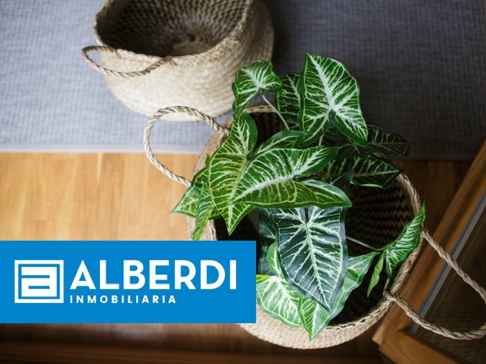 Alberdi Inmobiliaria: Ezkutuko altxorra