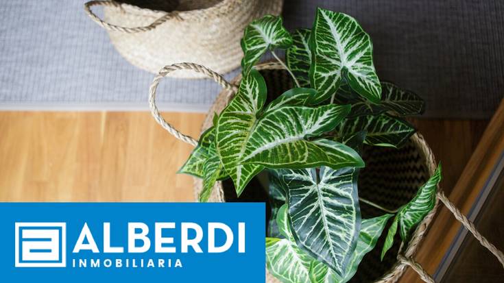 Alberdi Inmobiliaria: Ezkutuko altxorra