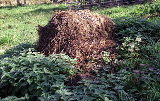 Zumaiako hitz bereziak: INAURKIN