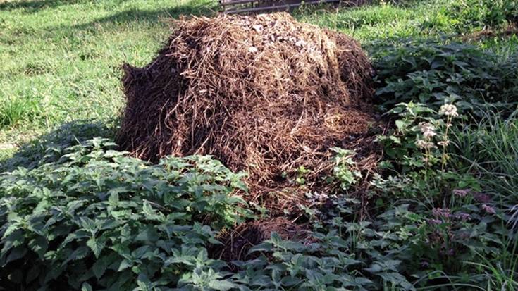 Zumaiako hitz bereziak: INAURKIN