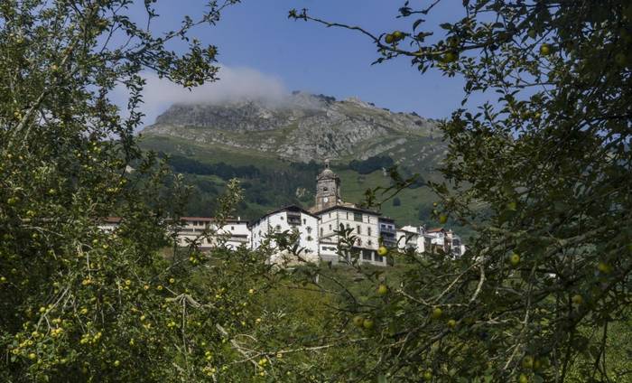 Urre koloreko sagarra jarrai(bide)