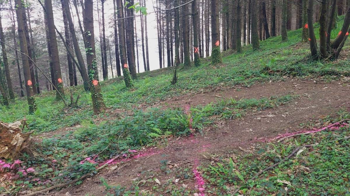 Sañu Bizirikek salatu du markak agertu direla Piaspe eraiki nahi duten lurretan
