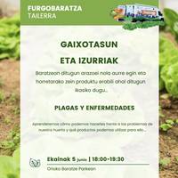 Tailerra: baratzeko gaixotasunei eta izurriei aurre egiten ikasteko saioa
