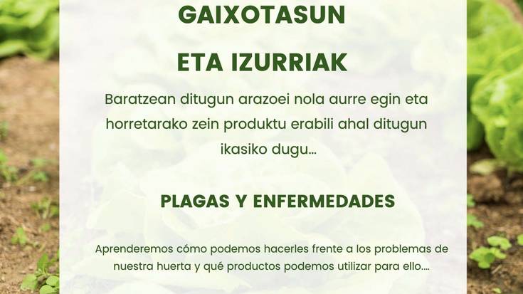 Tailerra: baratzeko gaixotasunei eta izurriei aurre egiten ikasteko saioa