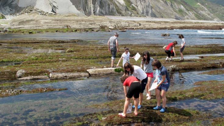 Familian Harraldea ezagutzeko doako irteera