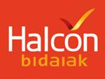 Halcon bidaiak logotipoa