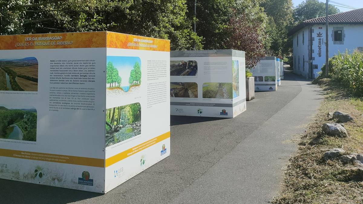 Ibaiertzetako basoen inguruko erakusketa ikusgai Ekoetxean, urriaren 31ra arte