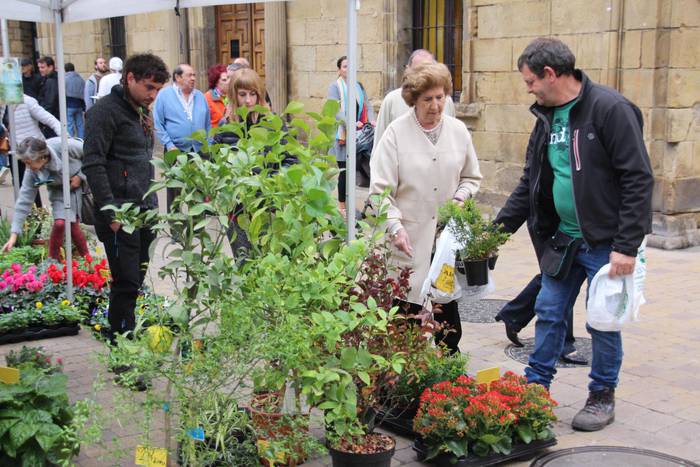 Udazken lorez jantzi da Zarauzko herrigunea