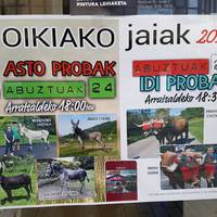 Asto probak eta Idi probak Oikian