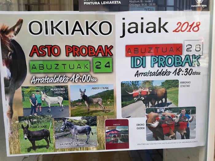 Asto probak eta Idi probak Oikian