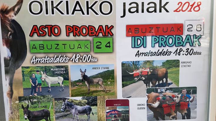 Asto probak eta Idi probak Oikian