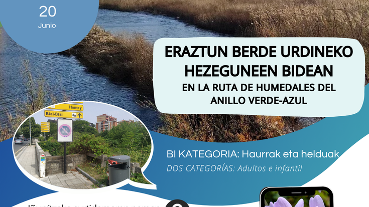 Lehiaketa: Argazki rallya mugikorrarekin