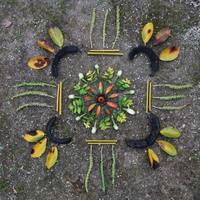 Tailerra: Lurra, amalurrari gorazarre