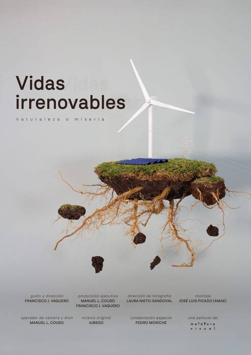 Zinea: 'Vidas irrenovables'