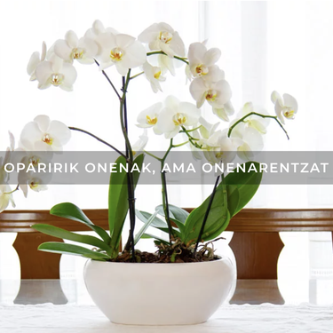 Sortarik ederrenak, zuretzat