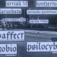 Kontzertuak: Disaffect, Agobio eta Psilocybe taldeak
