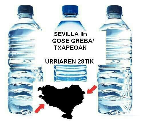 Jabi Agirre, Sevilla IIko espetxean borrokan