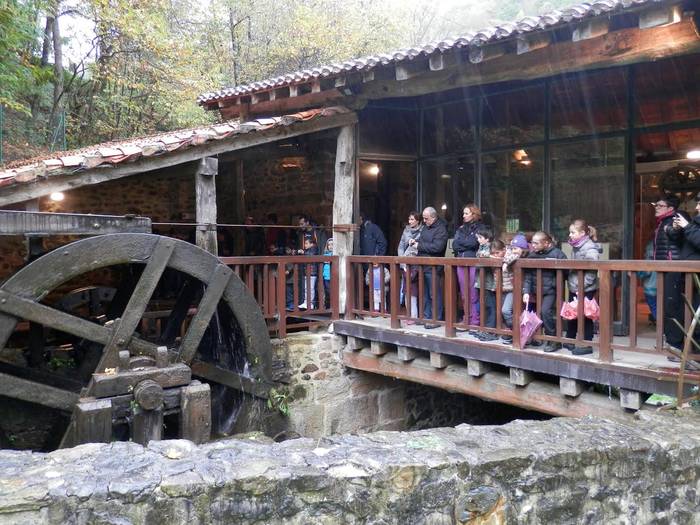 Mendukiloko kobak ikustera joango dira Zumaiako haurrak Ludotekak antolatutako egunpasan