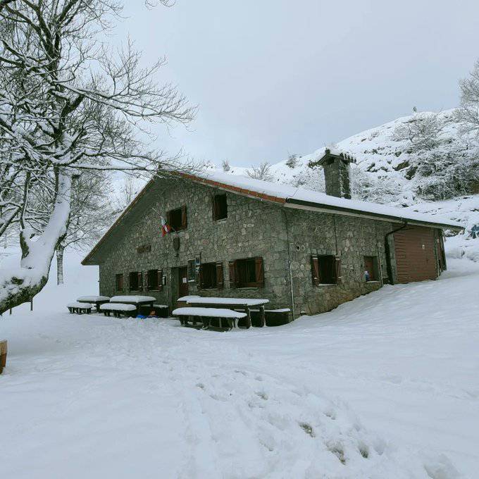 Udaberria, eta goiak zuri