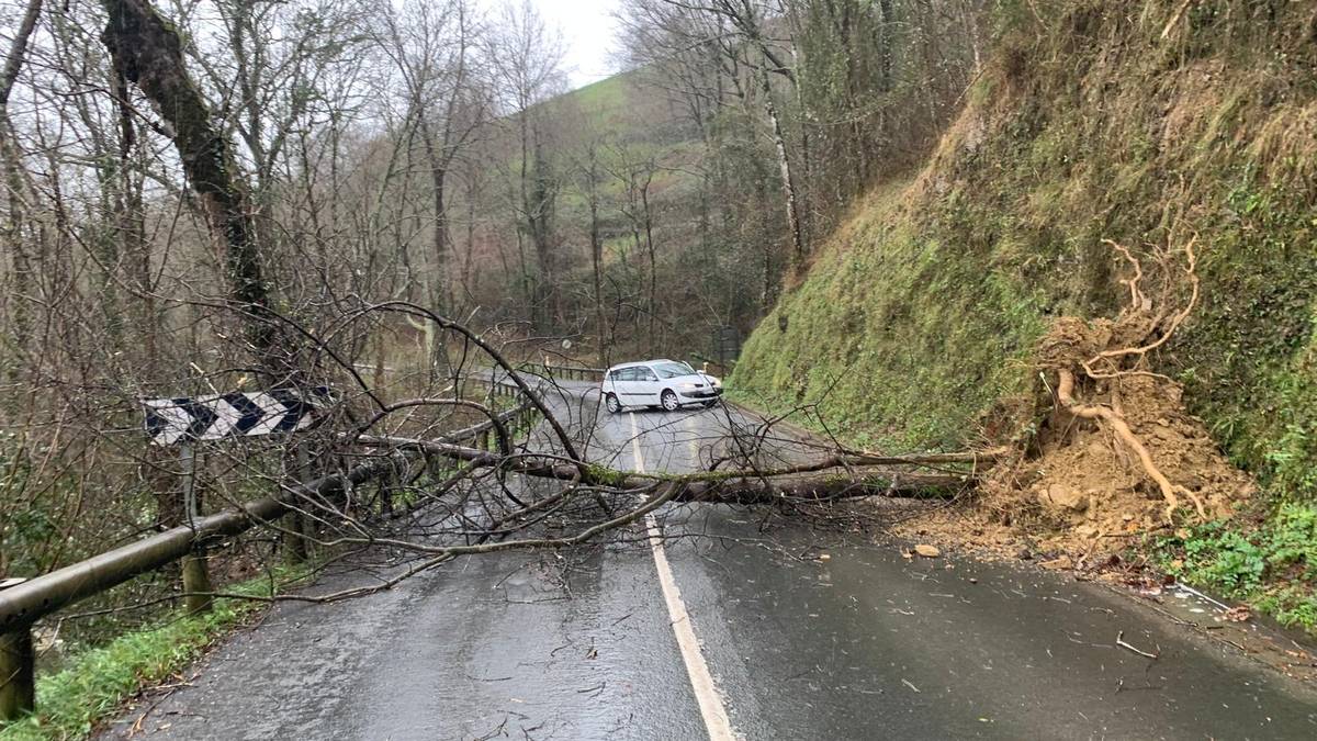 Zuhaitz bat bota du haizeak Zudugarai gainetik Aiara arteko errepidean, eta bidea itxita egon da bi noranzkoetan