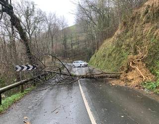 Zuhaitz bat bota du haizeak Zudugarai gainetik Aiara arteko errepidean, eta bidea itxita egon da bi noranzkoetan