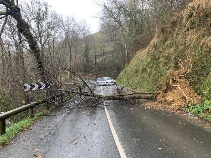 Zuhaitz bat bota du haizeak Zudugarai gainetik Aiara arteko errepidean, eta bidea itxita egon da bi noranzkoetan