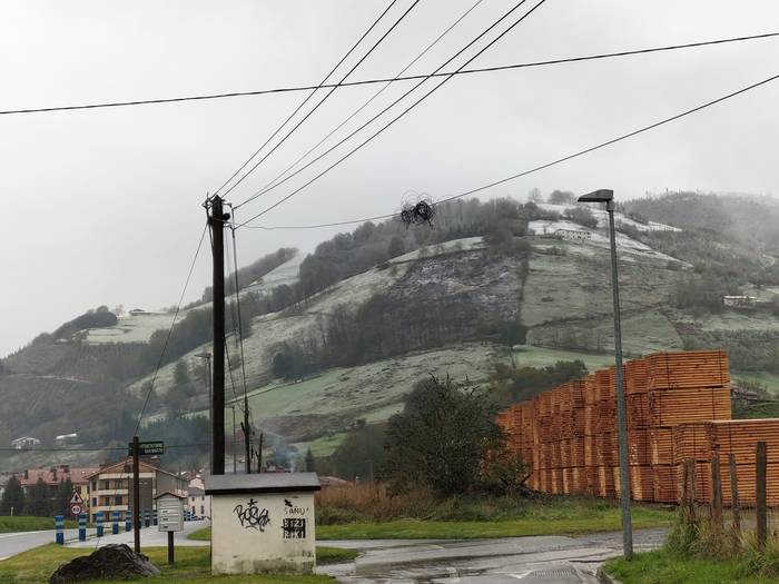 Neguak harrapatu gintuenekoa