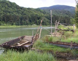 Oriaren itsasadarrean karbono urdindun ekosistemak lehengoratzeko lanen lehen fasea, amaituta