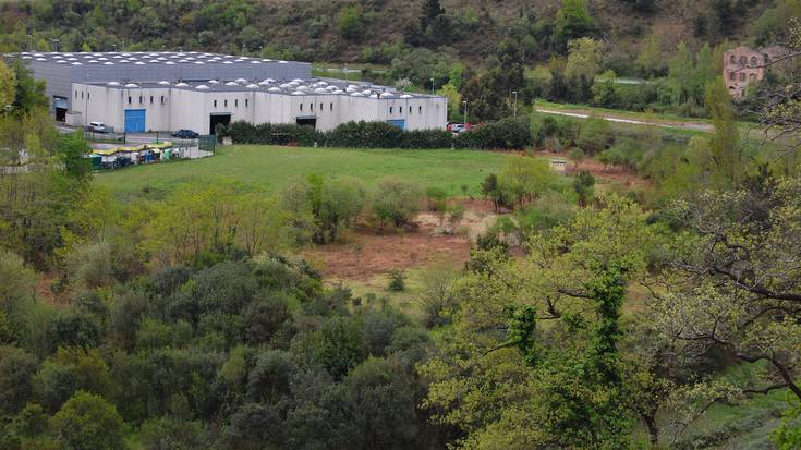 Geoparkeak 2.400 zuhaitz landatu ditu Gorostiaga inguruan