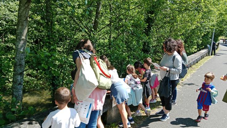 Detektibeen modura, biodibertsitatea ezagutzeko aztarna bila aritu dira haurrak Ekoetxean