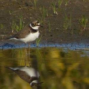 naturkon-naturaren-kontserbazioa-gipuzkoan