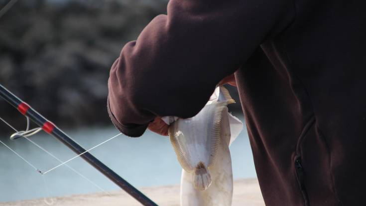 50. Kortxozko Arrantza Lehiaketa egingo dute datorren astean