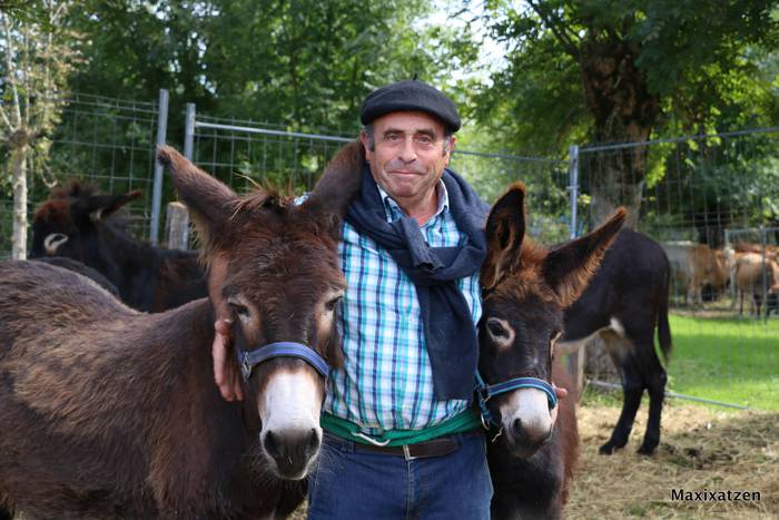 Manuel Oruesagasti: «Elosuan feria egin behar genuela esan nuenean, erotuta nengoela esan zidaten»