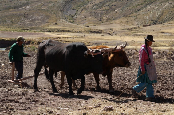 Boliviako Cinty eskualdean bizitakoa argazkitan