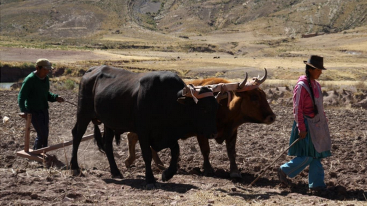 Boliviako Cinty eskualdean bizitakoa argazkitan