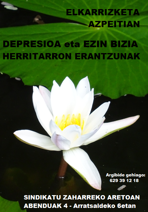 Abenduaren 4an egingo dute depresioaren inguruko hurrengo saioa