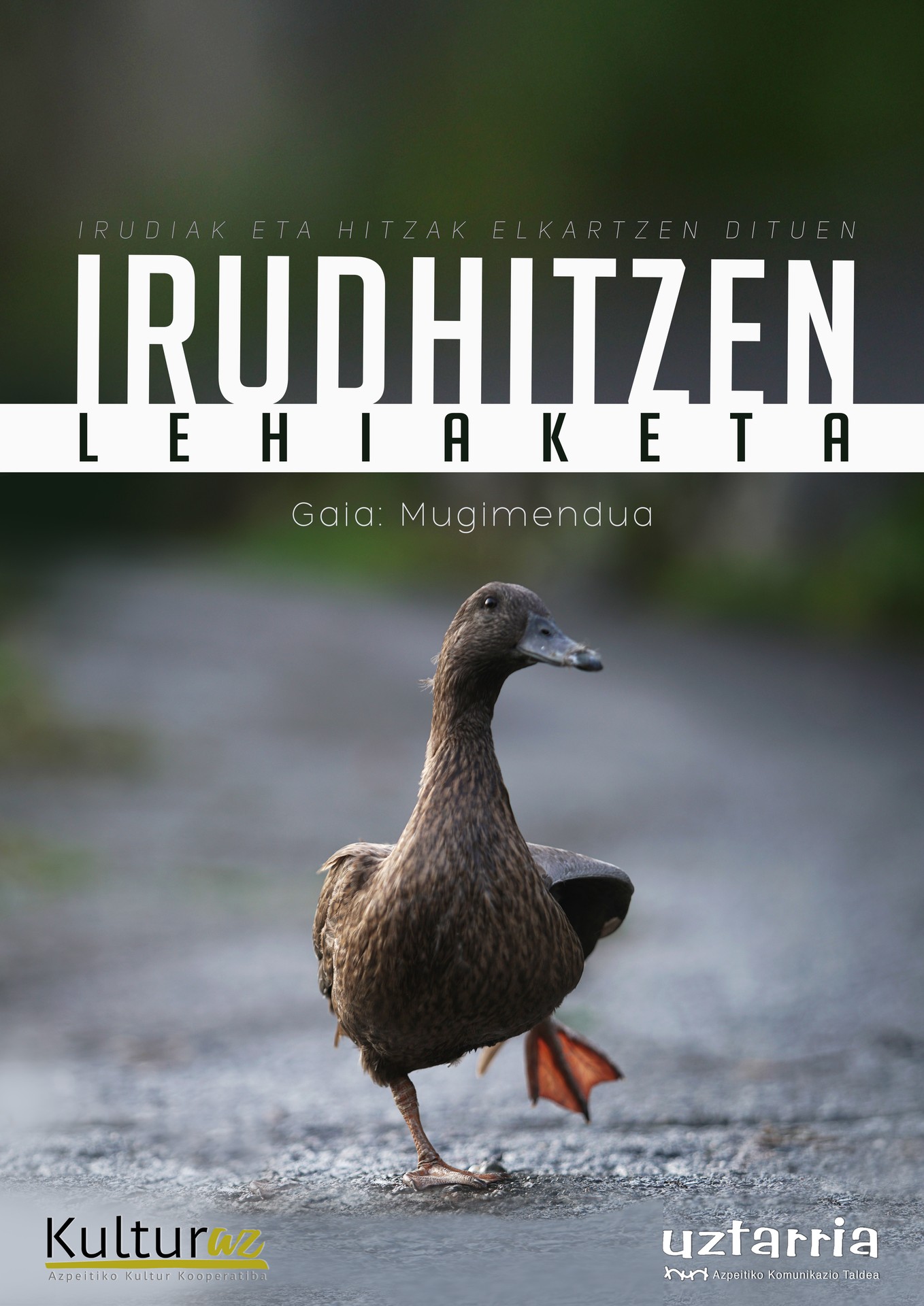 Martxan da argazkilaritza eta literatura elkartzen dituen Irudhitzen lehiaketa