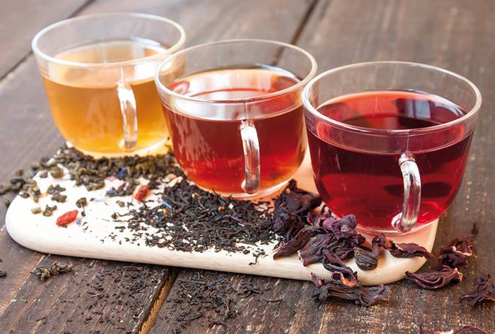 Infusioei buruzko tailerra antolatu dute Azkoitian