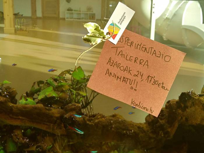 ESPERIMENTAZIO TAILERRA FAMILIAN