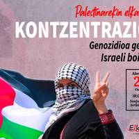 Palestinarekiko elkartasun kontzentrazioa