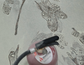 Festa ez da jabetza pribatua erasotzeko aitzakia