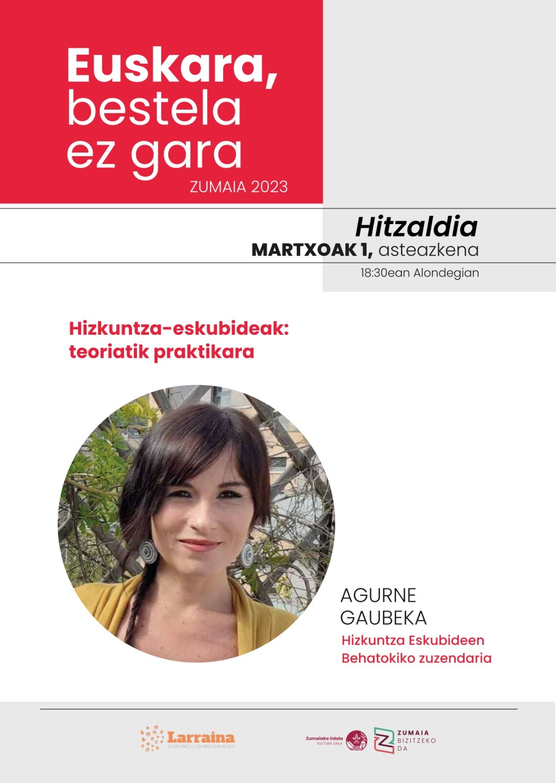 Hizkuntza-eskubideak: teoriatik praktikara