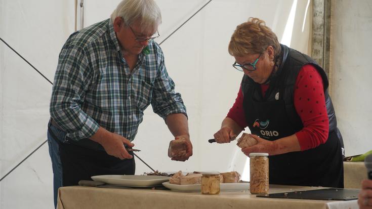 Hegaluzea poteratzen ikasteko erakustaldiaren bideoa ikusgai da